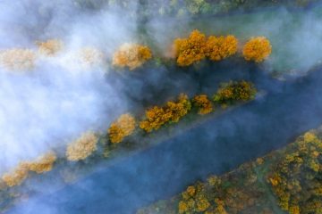 Bild: Luftaufnahme von Fahr mit Fluss im Nebel, zeigt die malerische Landschaft und den Fluss im Nebel aus der Vogelperspektive.